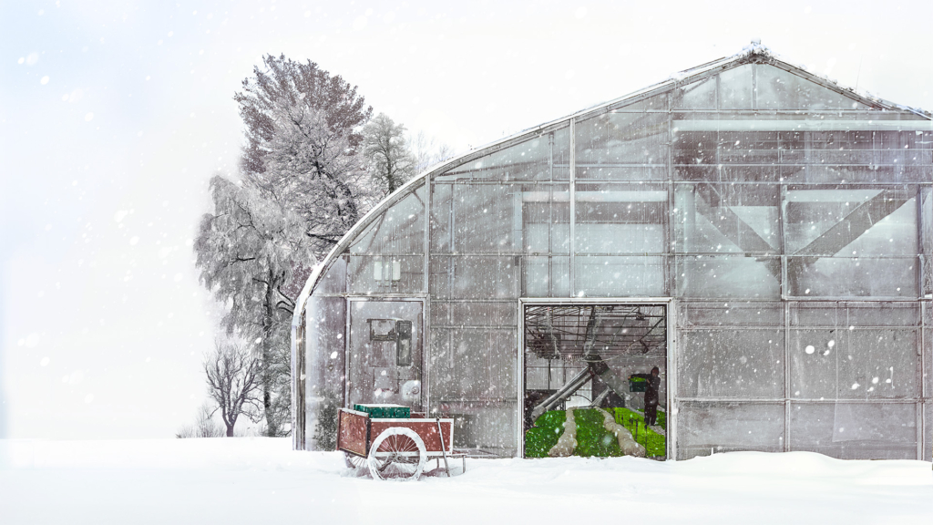 Récolter l&rsquo;hiver
