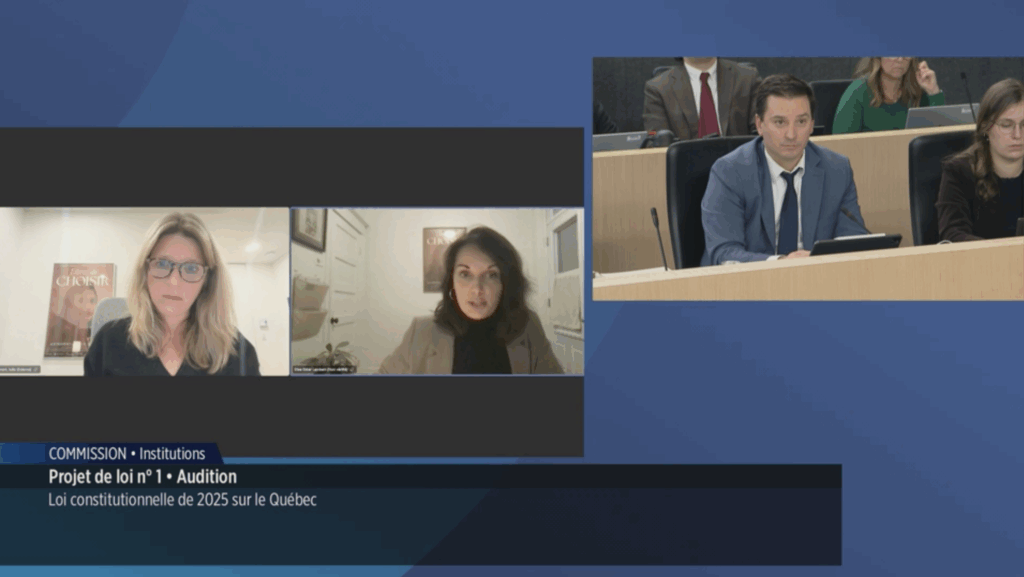 Les réalisatrices de «Libres de choisir» témoignent en commission parlementaire